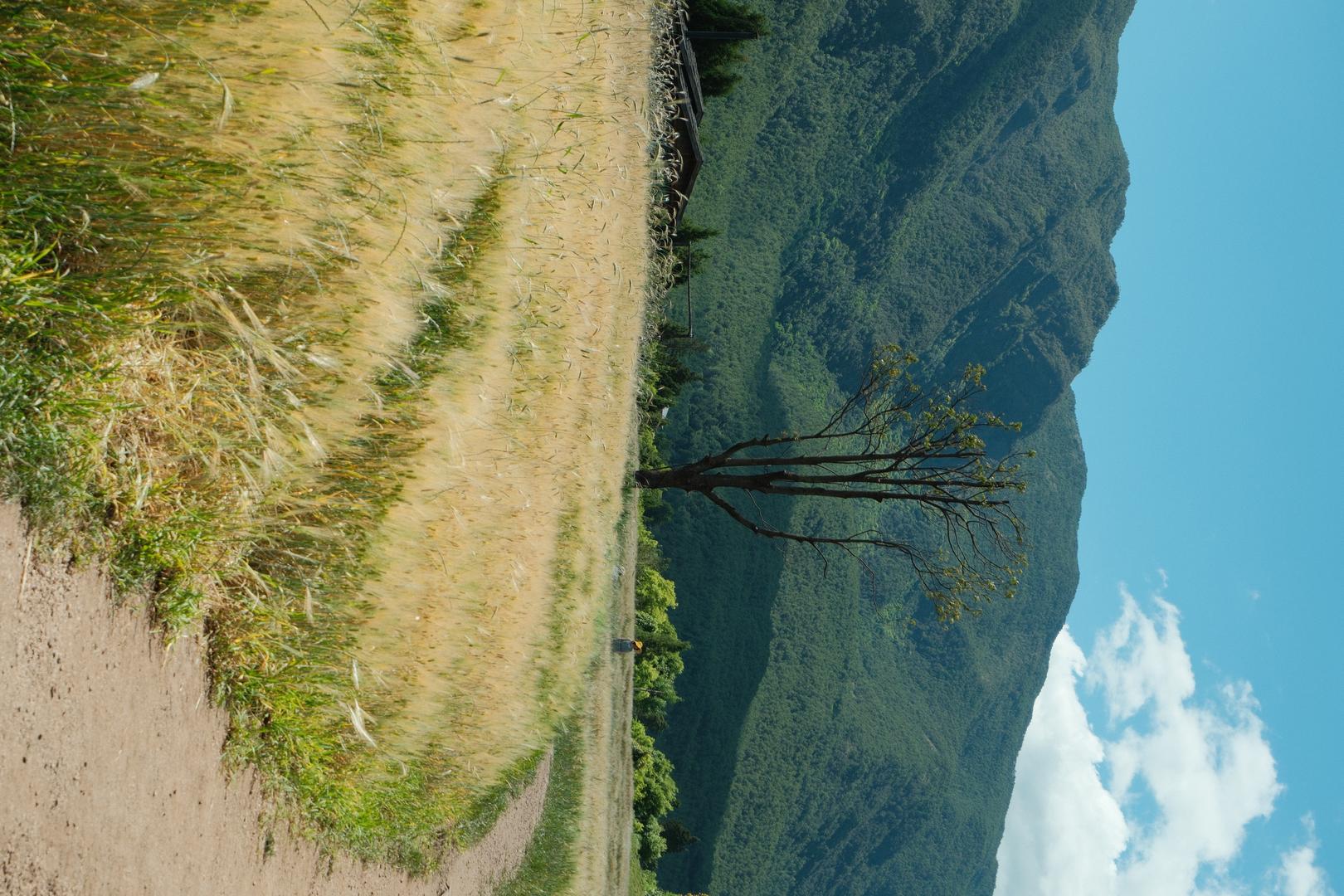 Summer Cinematic filter example