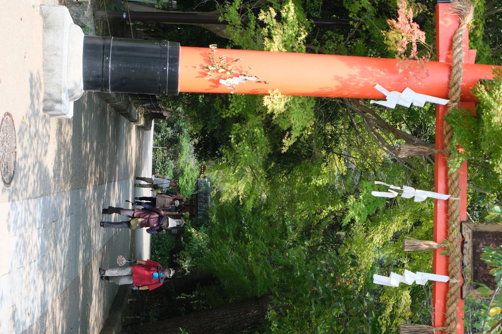 Leica Tone filter example