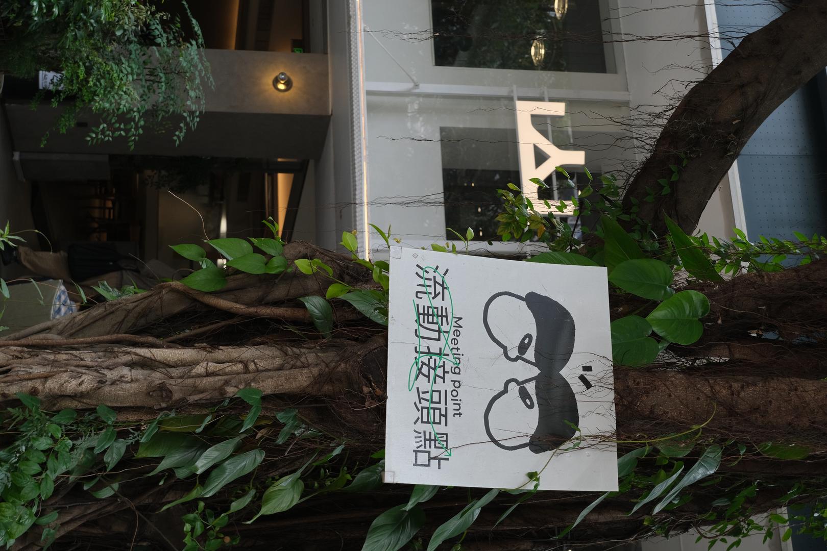 Cyan-Blue Cool Tone filter example