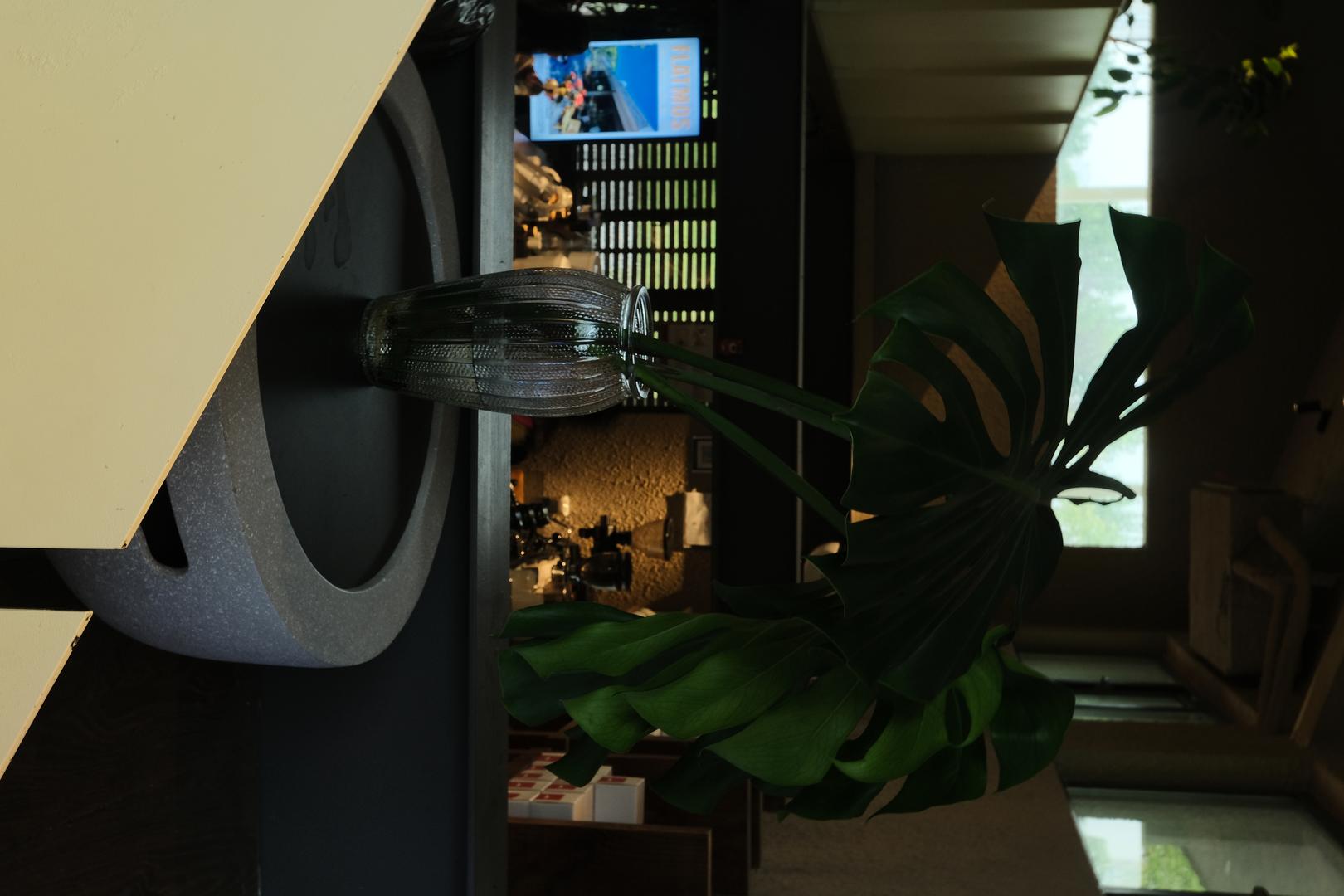 Cyan-Blue Cool Tone filter example