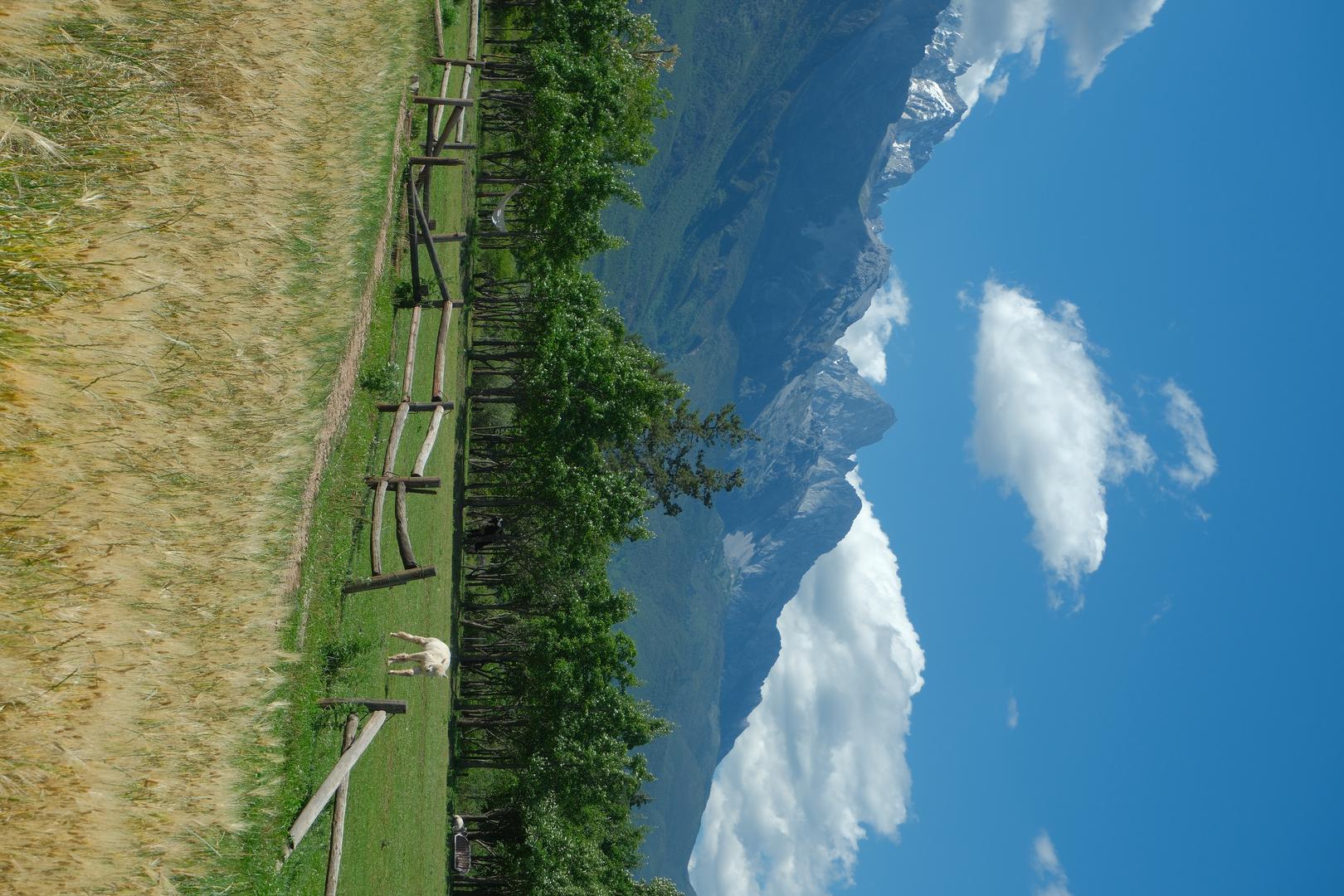 Kodak Gold 200 filter example